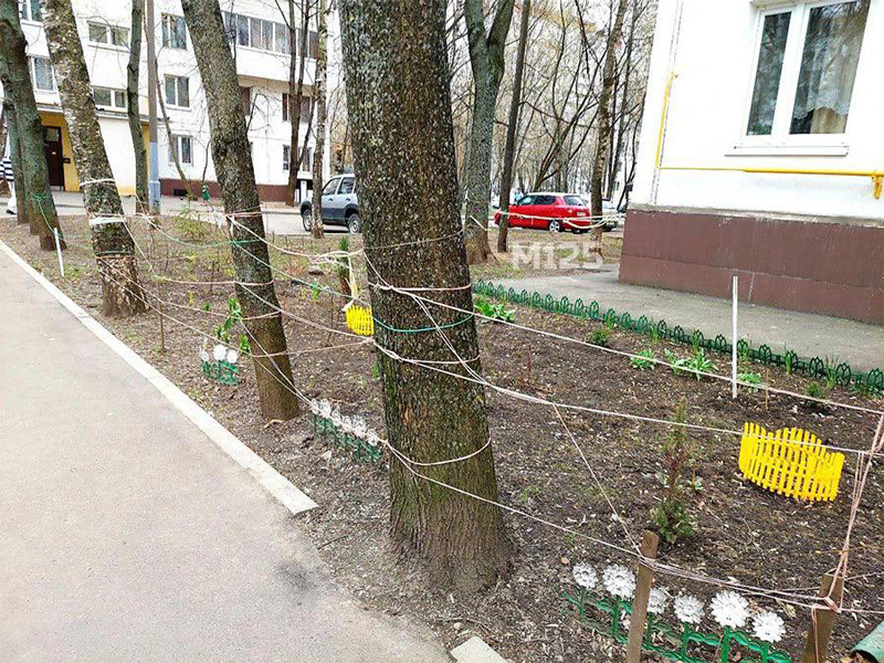 Листайте вправо, чтобы увидеть больше изображений