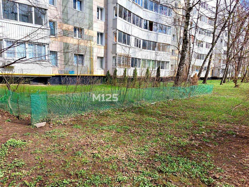 Листайте вправо, чтобы увидеть больше изображений