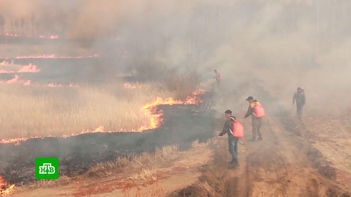    Площадь пожаров в Забайкалье превысила 150 тысяч гектаров