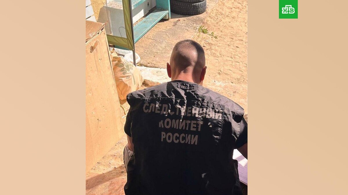    Фото: @susk36vrn / t.me