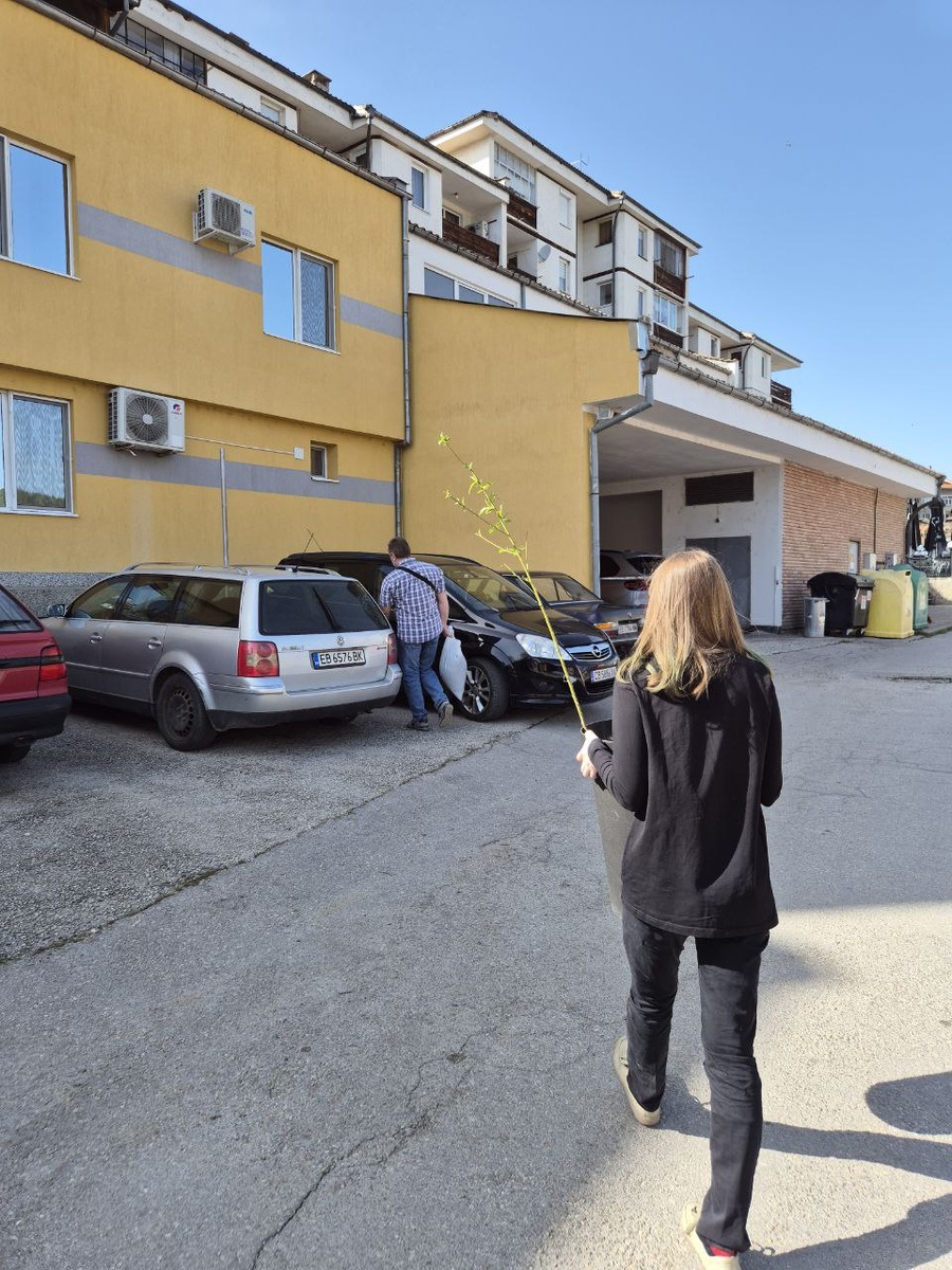 Несем добычу в машину.