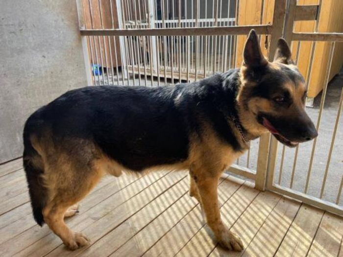 Источник фото: Администрация Октябрьского района РО