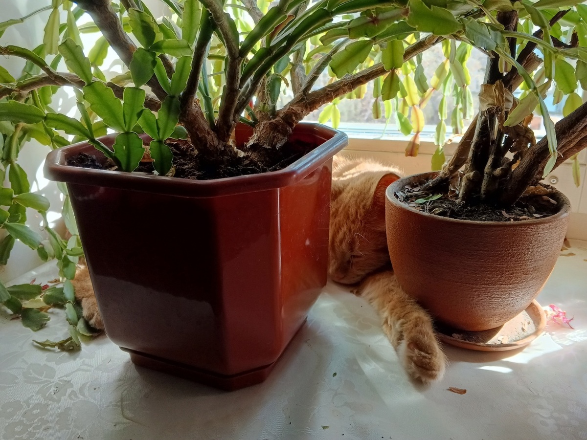 Отдыхающий греет спинку