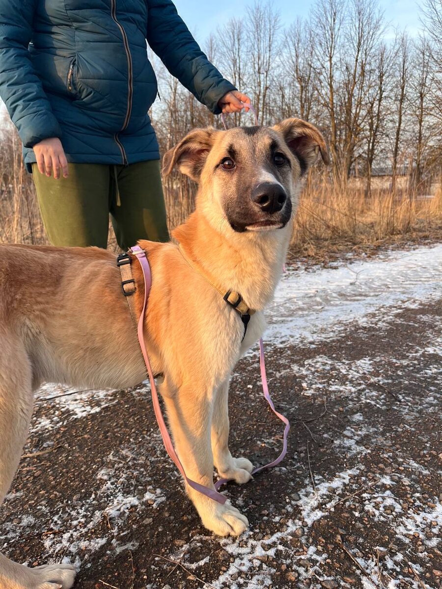 Первые фото