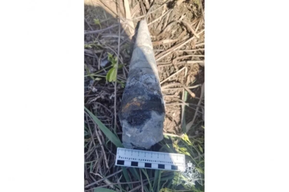    Астраханец обнаружил на берегу Волги опасный привет из прошлого