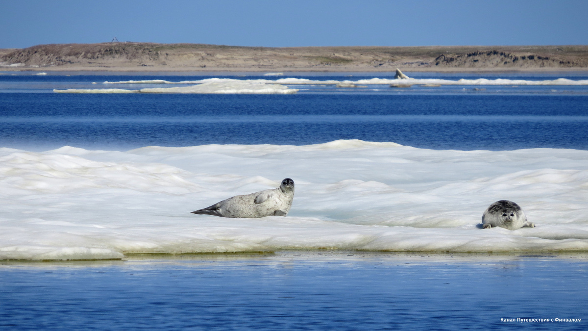 Давайте-ка, разглядим получше!