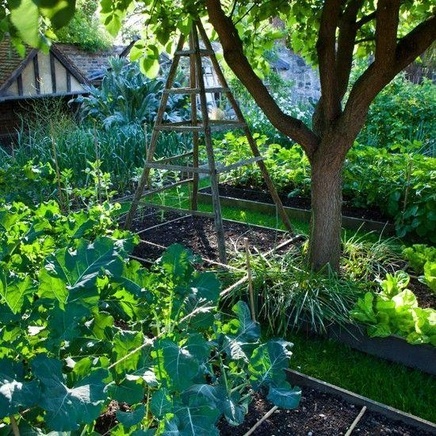 Фото с https://www.dela.media/stati/gryadki-pod-derevom-chto-posadit-kak-uhazhivat-chem-podkarmlivat