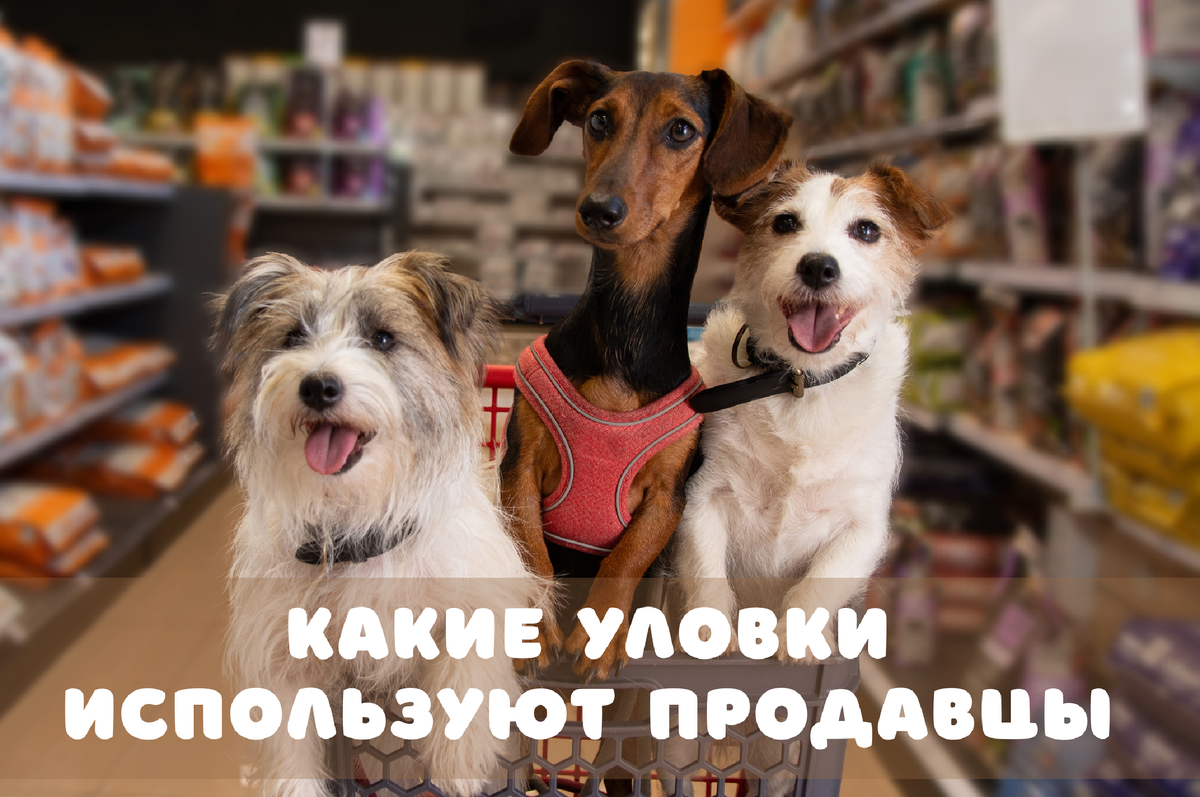 Фото: Shutterstock / smrm1977