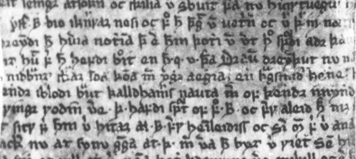 Рукопись "Саги о Бьёрне, герое из Хитдаля" второй половины XIV века. Фрагмент содержит текст висы Бьёрна "Draum dreymðumk nú, Nauma" (Lausavísur 20).