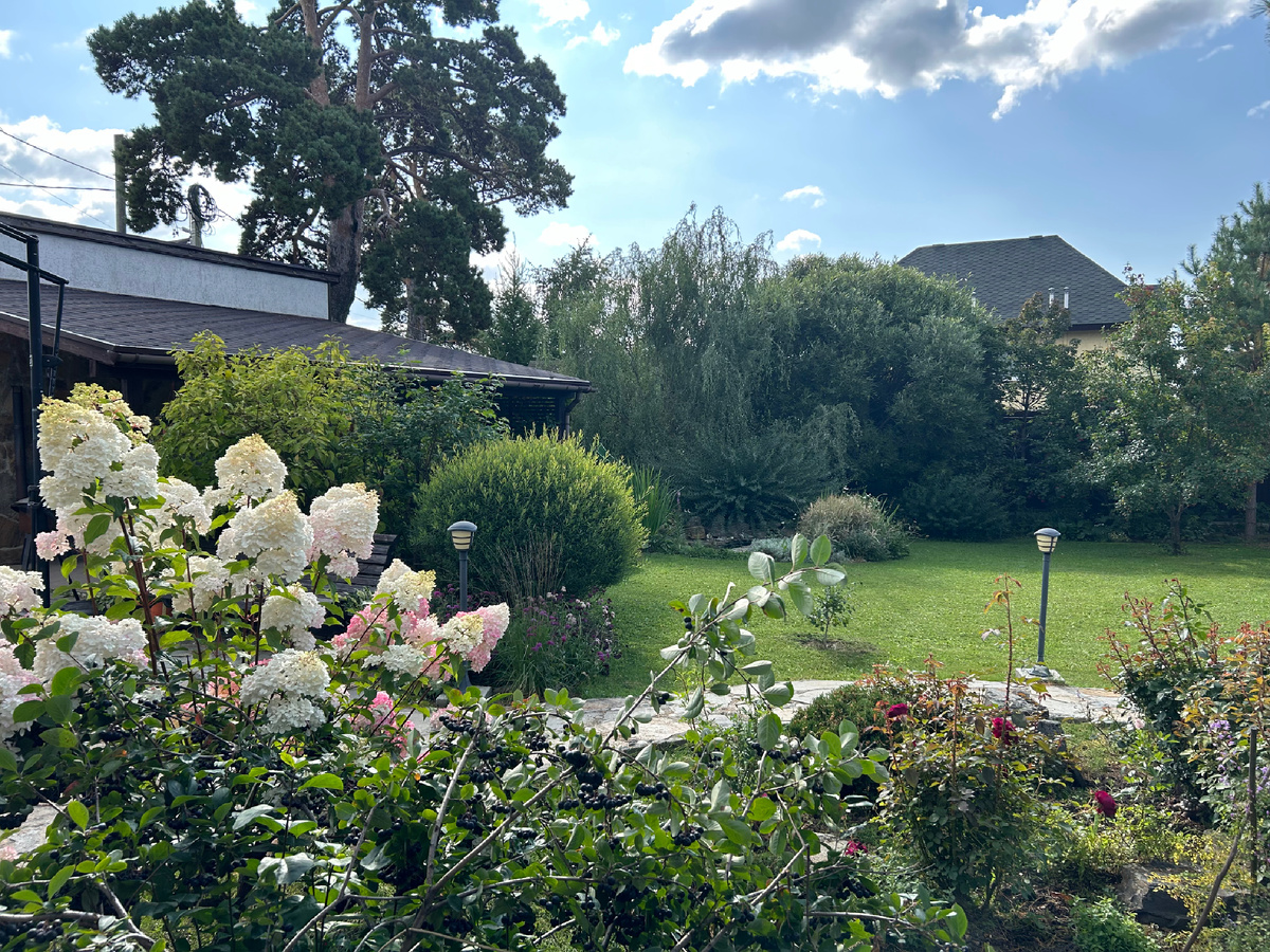 Первые кулисные посадки мы сделали в 2014 году