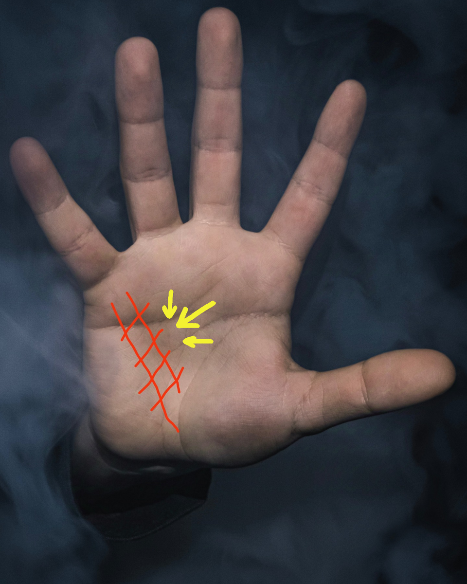 Фото из интернета 