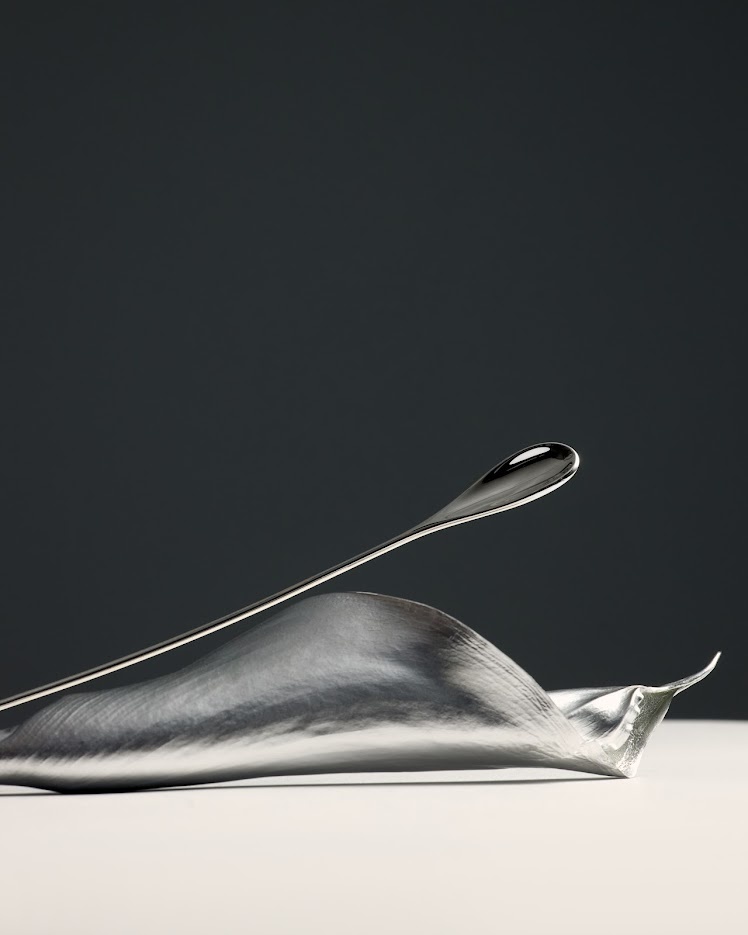    Проект Lobby показал коллаборацию с художницей Лерой Трейгер (фото 2)