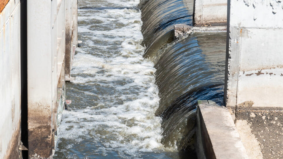 Фото: Олег Харсеев / Коммерсантъ