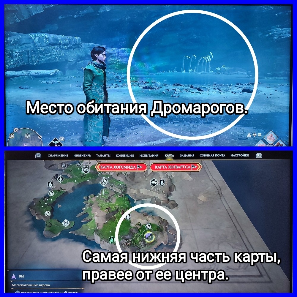 На фото обработанный мной скрин из игры "Хогвартс. Наследие" ("Hogwarts Legacy"), 2023г., разработчик Avalanche Software, издатель Warner Bros. Games, руководитель Алан Тью, продюсер Джеймс Кабрера. Скрин обработан и демонстрирует общий визуальный фон игры, а так же карту с местом обитания Дромарогов. Подробнее об этом рассказано в статье. Все материалы принадлежат правообладателям и размещены исключительно в информационных целях.