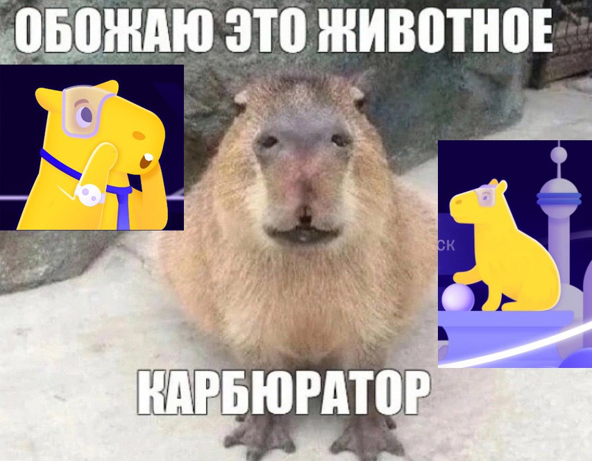 Прикольная картинка из чата соренований :)