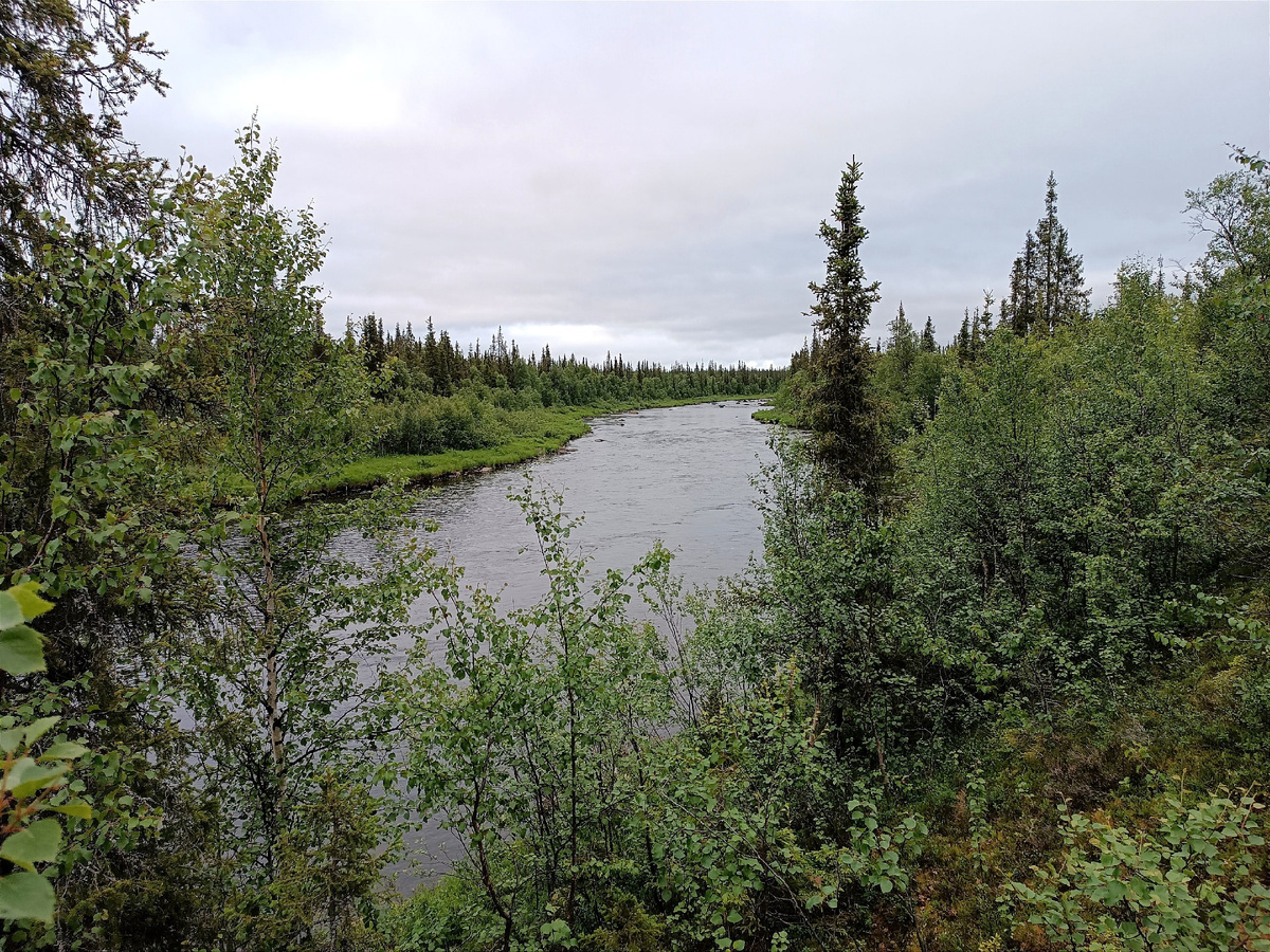 фото: Александр Воробьев