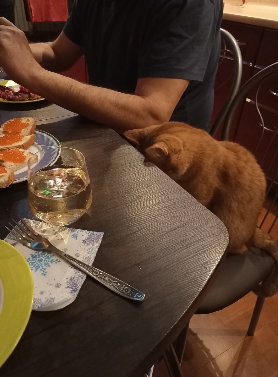 Эх, тяжелы были новогодние каникулы!)) Фото автора