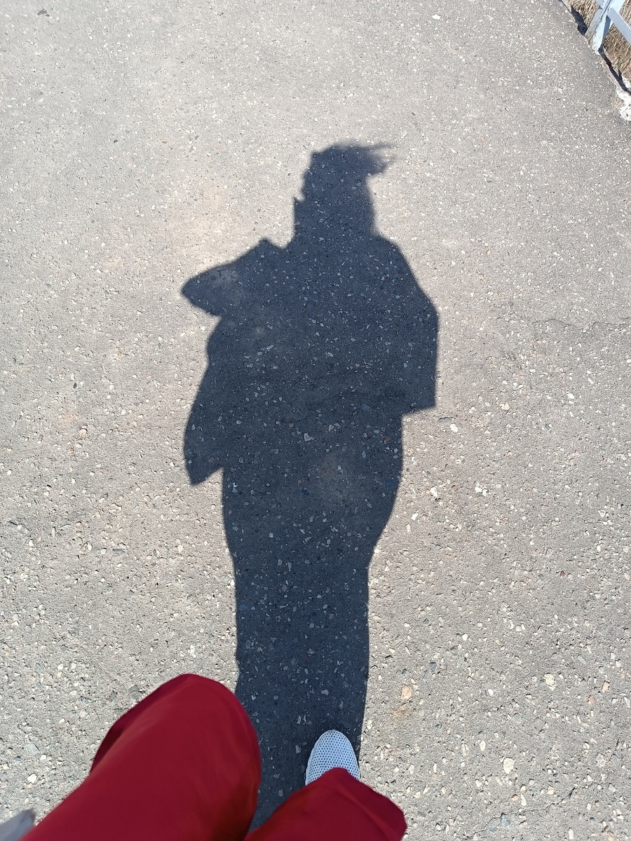 Это я) Точнее, моя тень) А волосы дыбом - так это от ветра смасшедшего)))