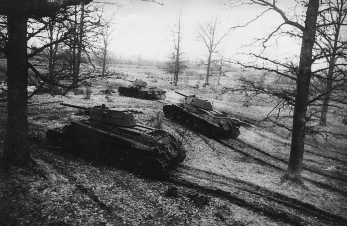 Фото: ТАСС/imago stock&people