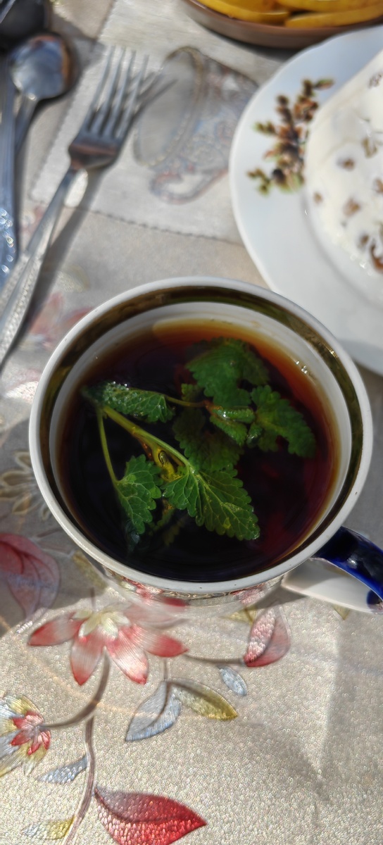 Чай с молодой мелиссой