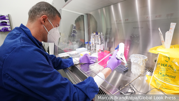     Фото: Marcus Brandt/dpa/Global Look Press   
 Текст: Владимир Добрынин