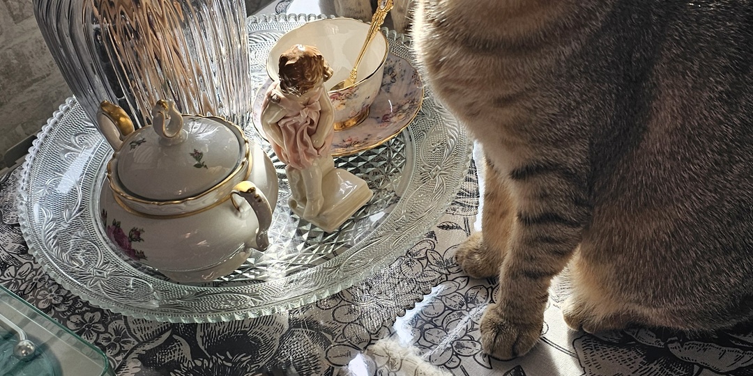 Лучшие находки на WB за этот месяц товары для дома, для себя