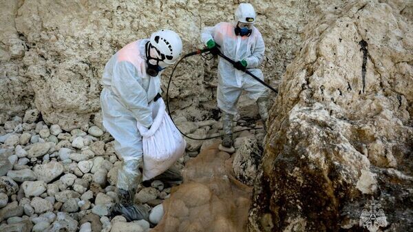    © МЧС России