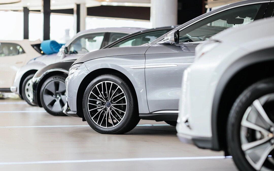 Фото: Feelimage / Shutterstock / FOTODOM