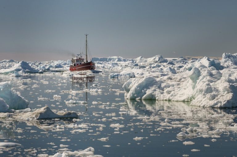    Фото: freepik.com/wirestock Ольга Шмырева