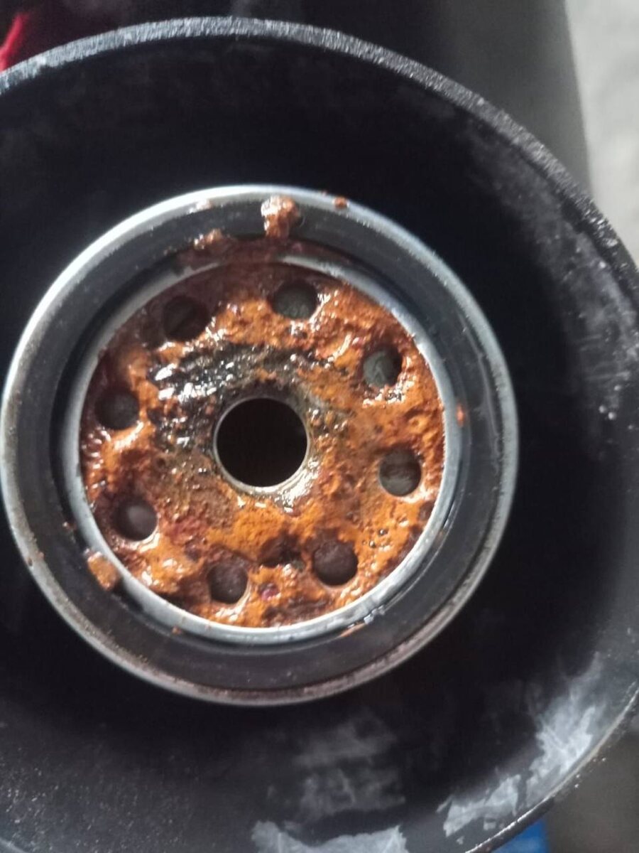 Масло вроде нормальное?