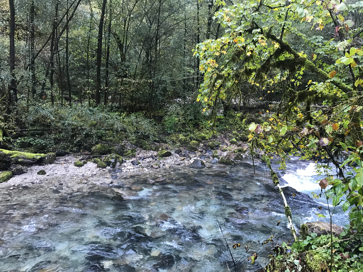 Вода холодная даже летом