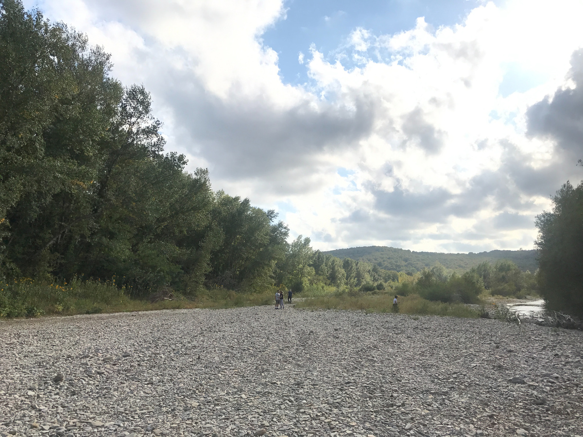 Берег горной реки