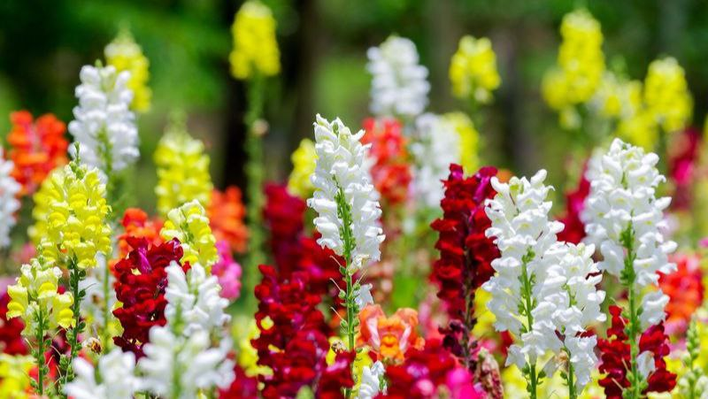 Фото с просторов интернета