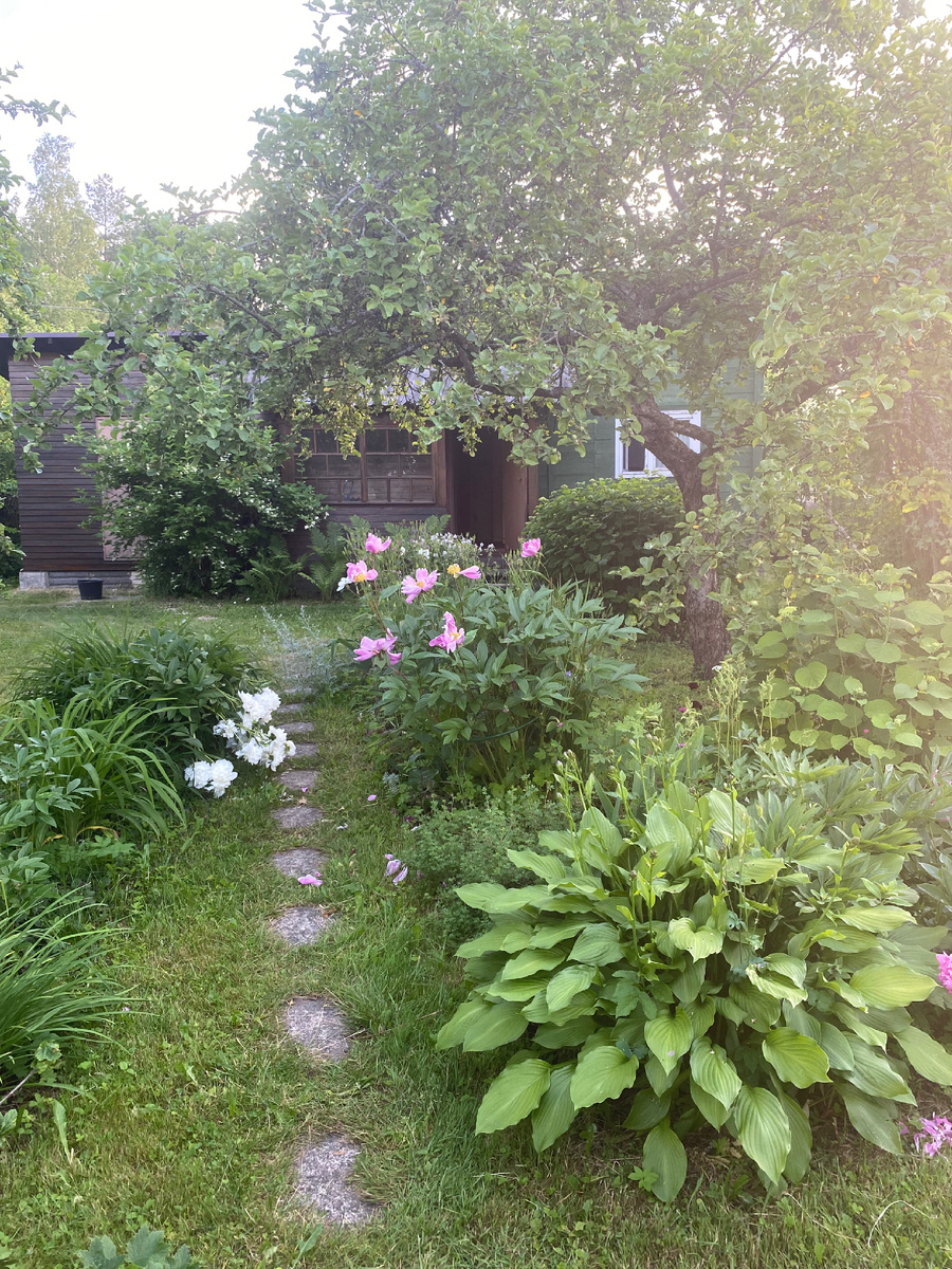 Этот вид почти не изменился за последние двадцать лет 