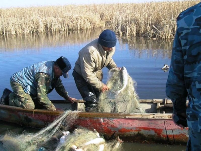 Задержали на воде