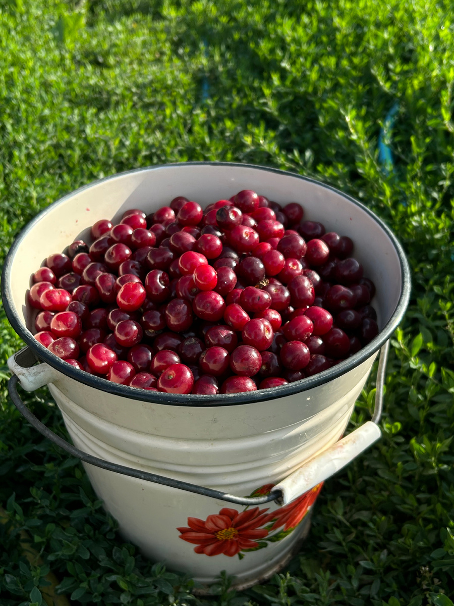 Таких вёдер было несколько  
