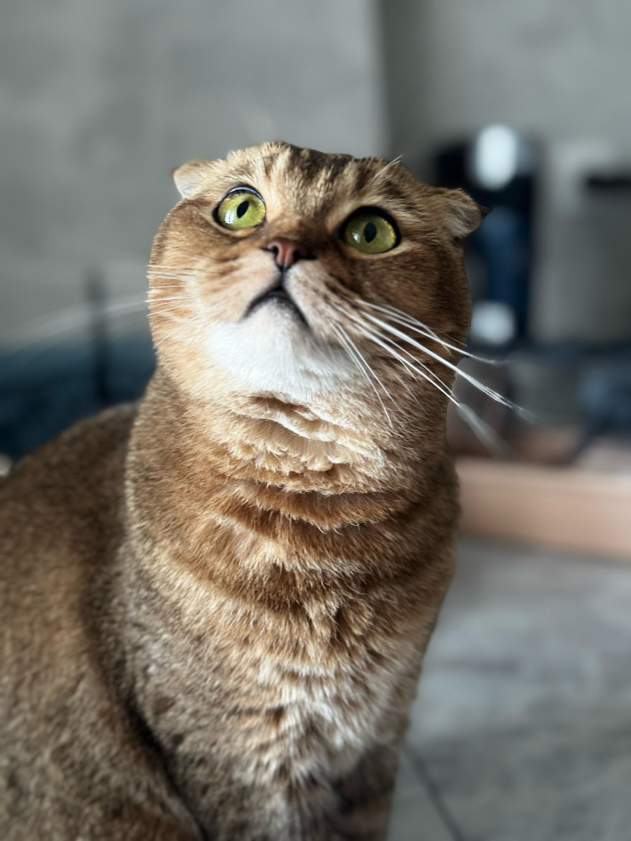 Мэй Ли (из личного архива)