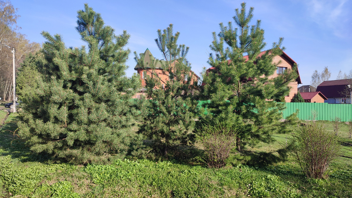 Дорога на электричку