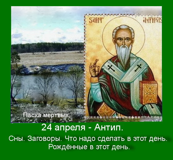 Источник : Яндекс картики. 