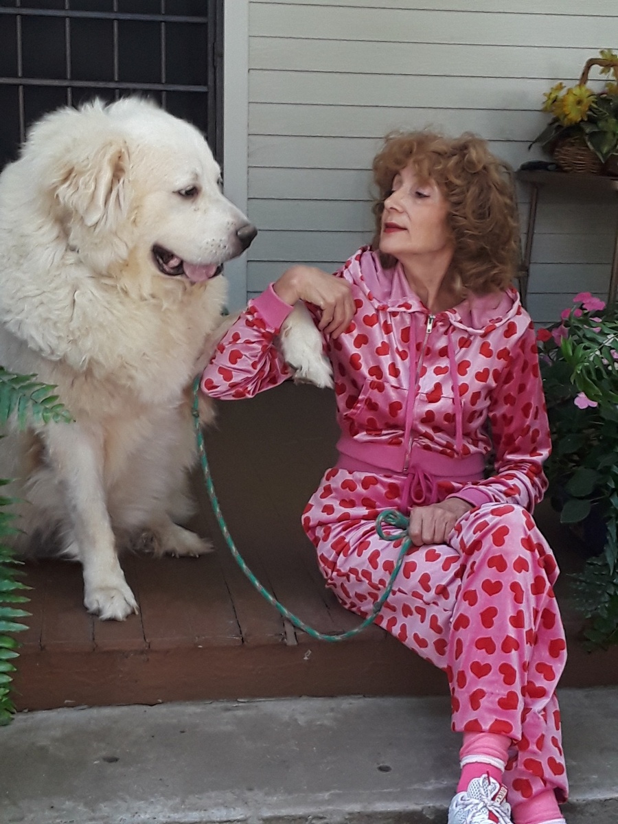 Какой симпатичный пёс. Фото из Дзена. 