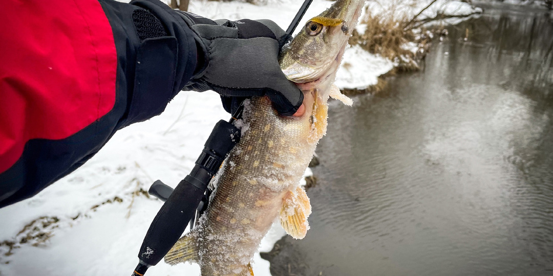 Мелкие приманки и щука: особенности весенней ловли