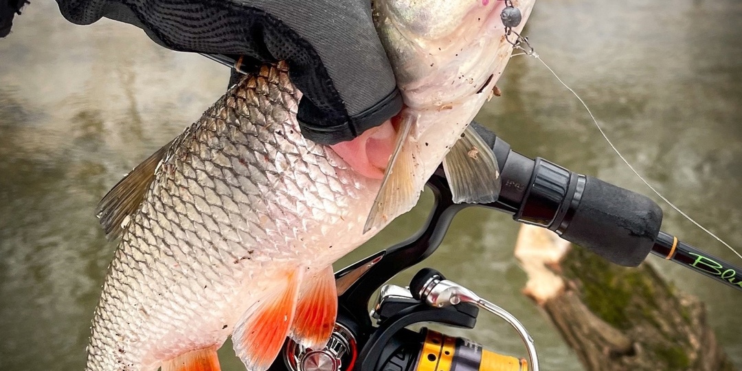 Весенний голавль на легкий джиг: тактика и особенности ловли