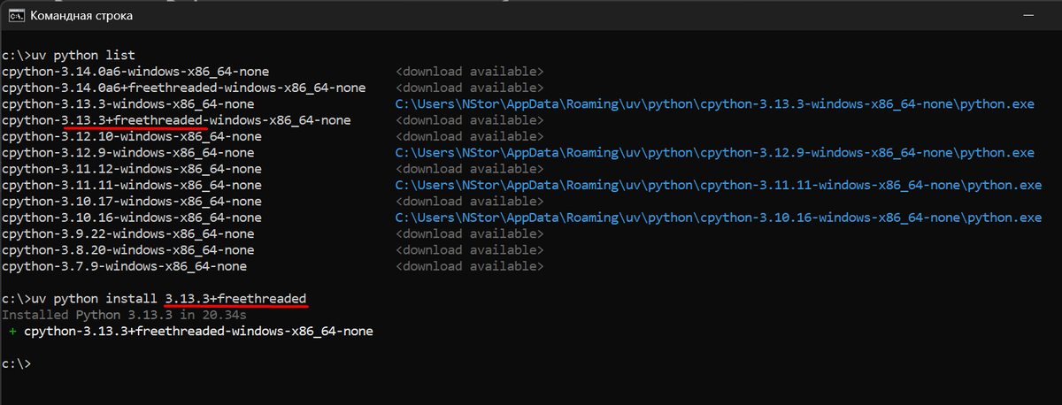 Пример выполнения установки «Free-threaded» версии Python