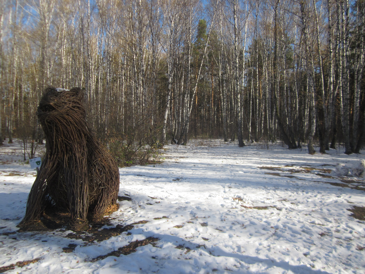 Гилевская роща в Тюмени, мое фото