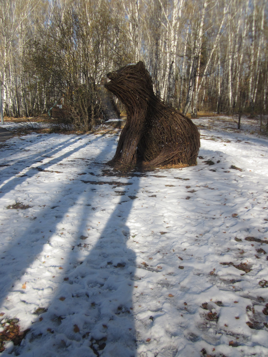 Гилевская роща в Тюмени, мое фото