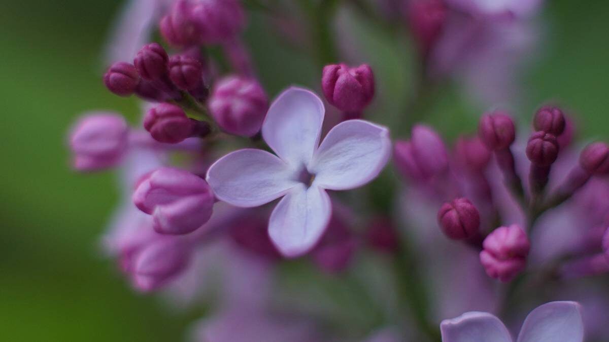   Фото: Анатолий Цымбалюк / Вечерняя Москва