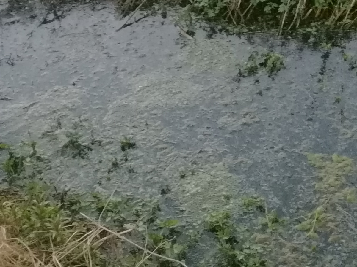 Вот такие лужи по краям дороги