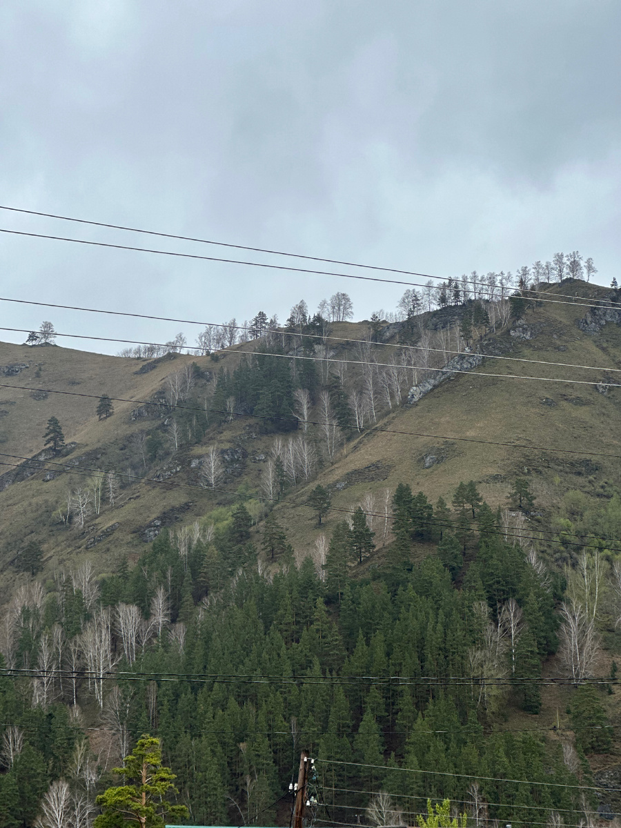 Куда-то сюда надо было попасть