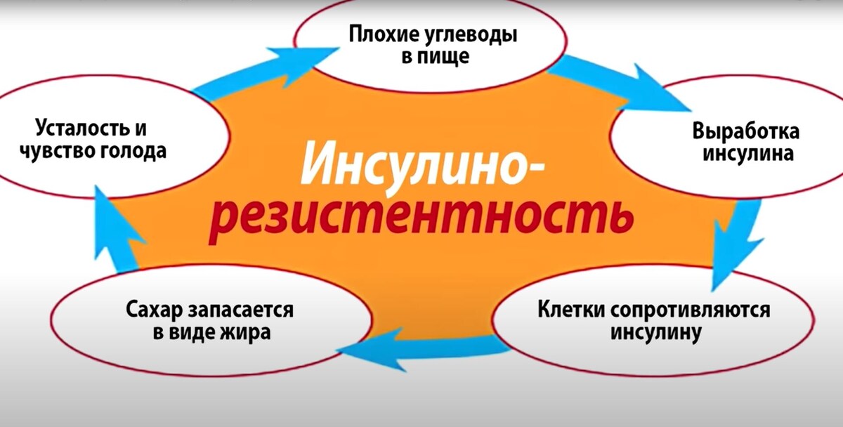 Как исправить инсулинорезистентность?