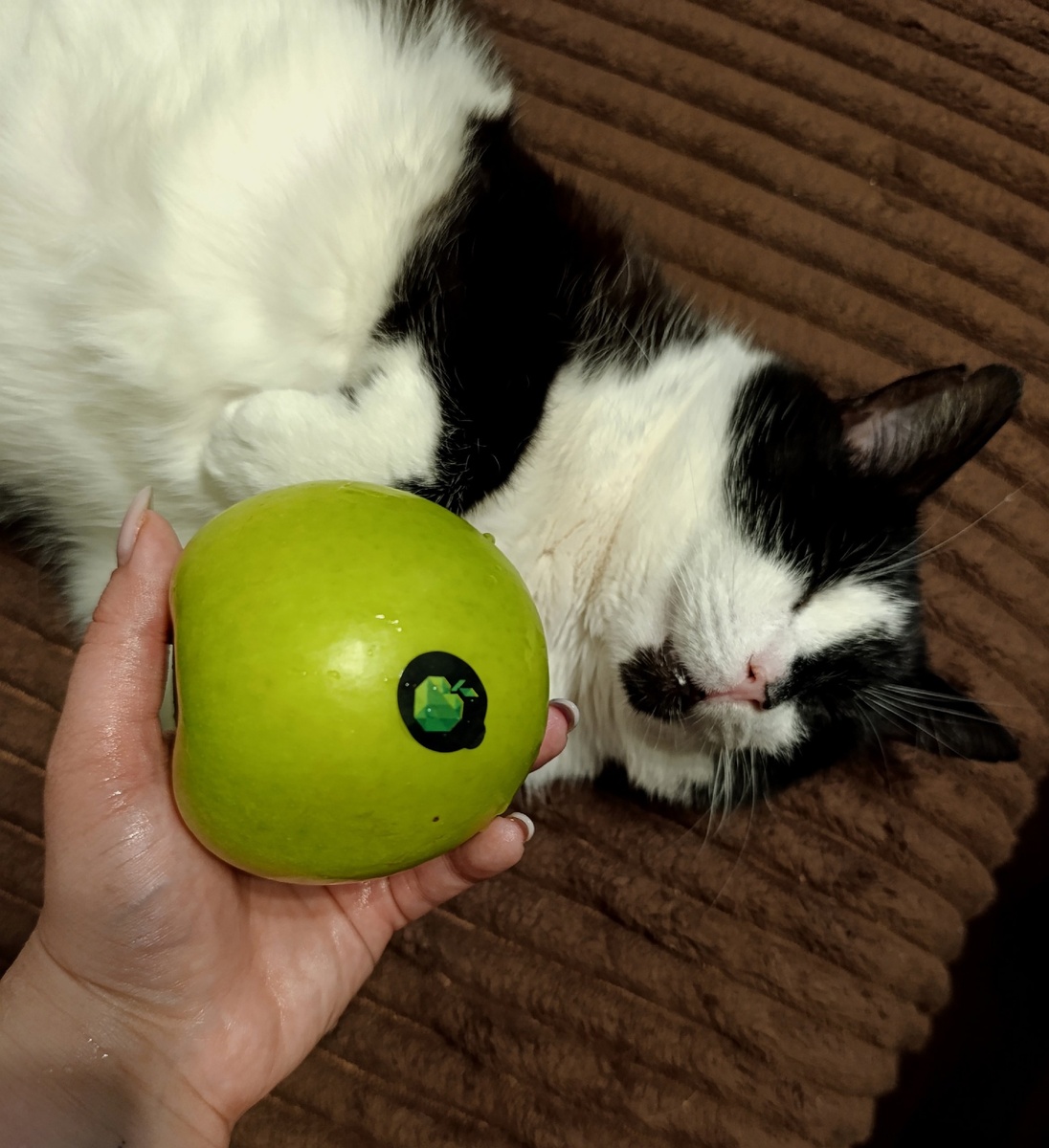 Примерно как соблазннеие яблоком кота